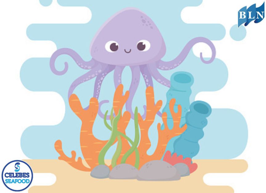 The Role of Baby Octopuses in the Coral Reef Ecosystem Food Chain